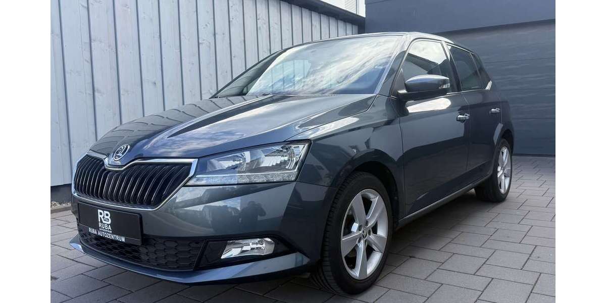 Skoda Fabia 67.200 km 9.299 &euro; Eslohe (Sauerland) 59889