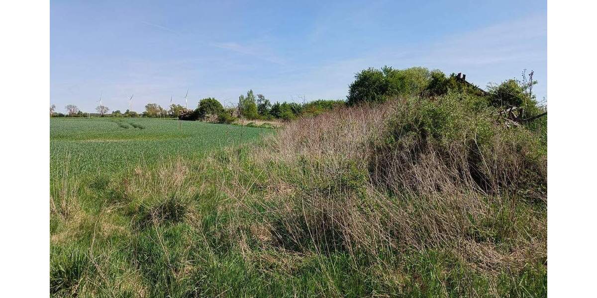 Grundstück Bismark OT Meßdorf Bismark - 5.500&euro; | Angebot:25958475