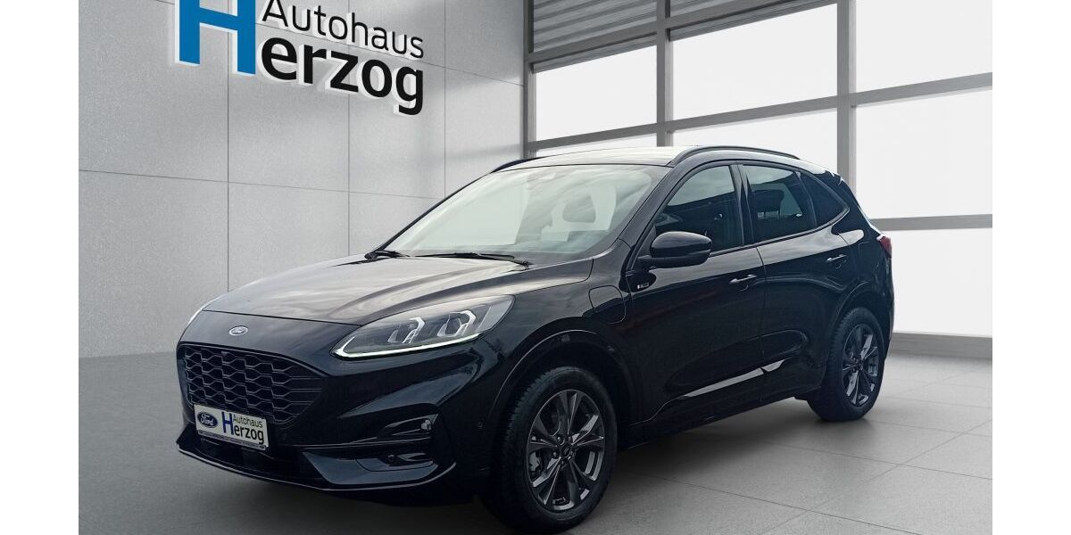 Ford Kuga 8.697 km 28.990 &euro; Schramberg 78713