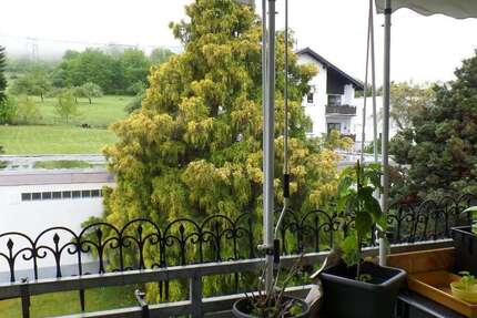Wohnung Schmitten-Dorfweil Dorfweil - 2 Zimmer, 56 m&sup2;, 510&euro; | Angebot:27348122