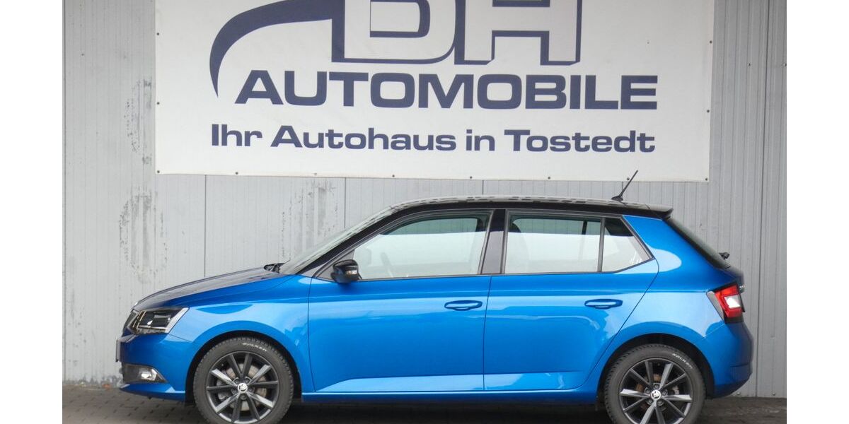 Skoda Fabia 73.631 km 12.990 &euro; Tostedt 21255