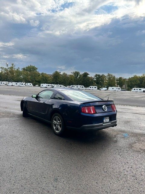 Mustang