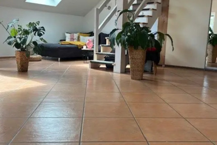 Wohnung Zweitwohnung zu vermieten Lauingen 1 zimmer