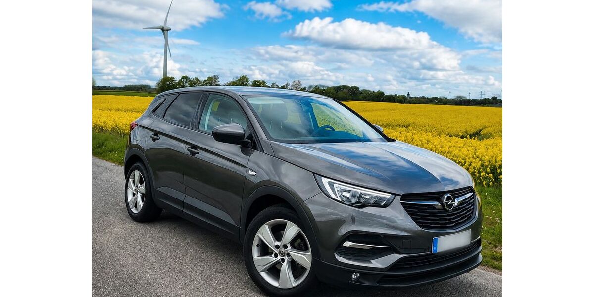 Opel Grandland (X) 102.500 km 10.900 &euro; Bredstedt 25821
