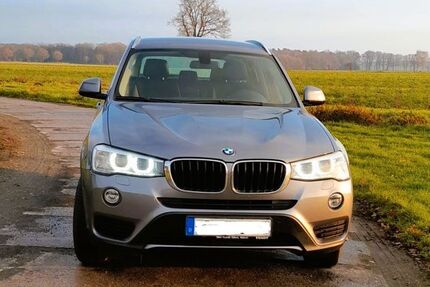 BMW X3 224.000 km 11.900 &euro; Tiddische 38473