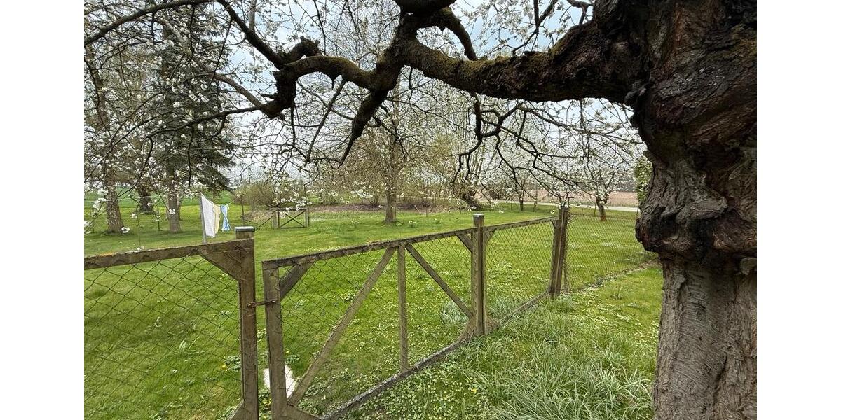 Einfamilienhaus Gadebusch - 5 Zimmer, 120 m&sup2;, 240.000&euro; | Angebot:26222294