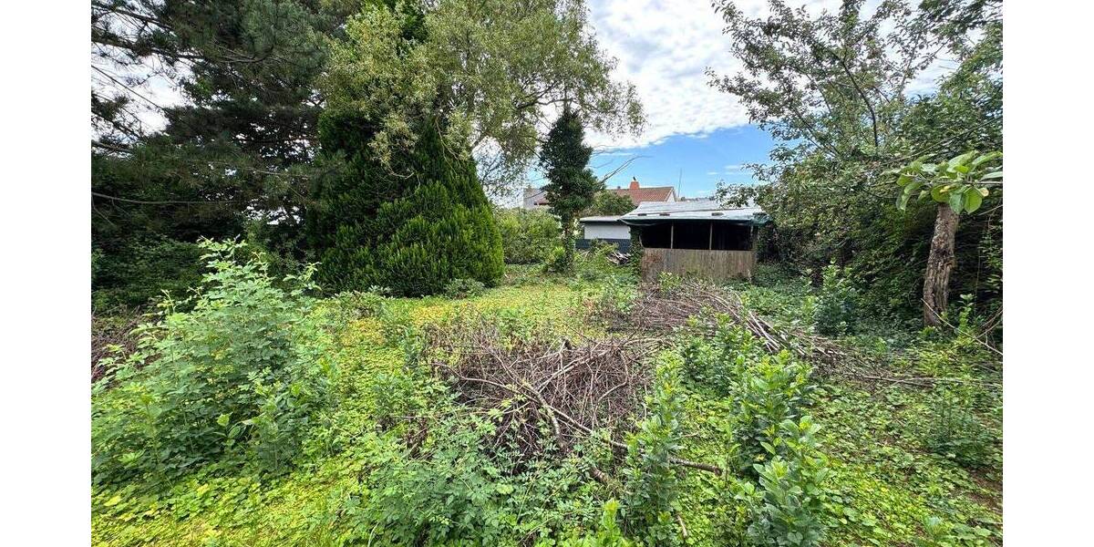 Grundstück Hohenölsen Hohenölsen - 47.000&euro; | Angebot:23987028