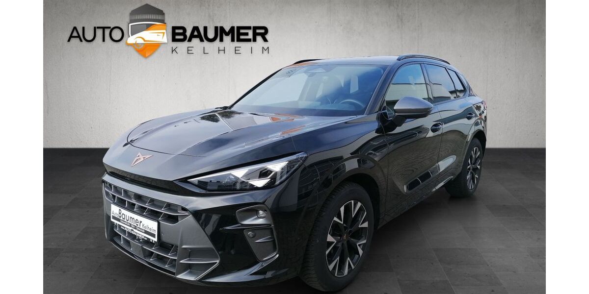 Cupra Terramar 19.999 km 33.990 &euro; Kelheim 93309