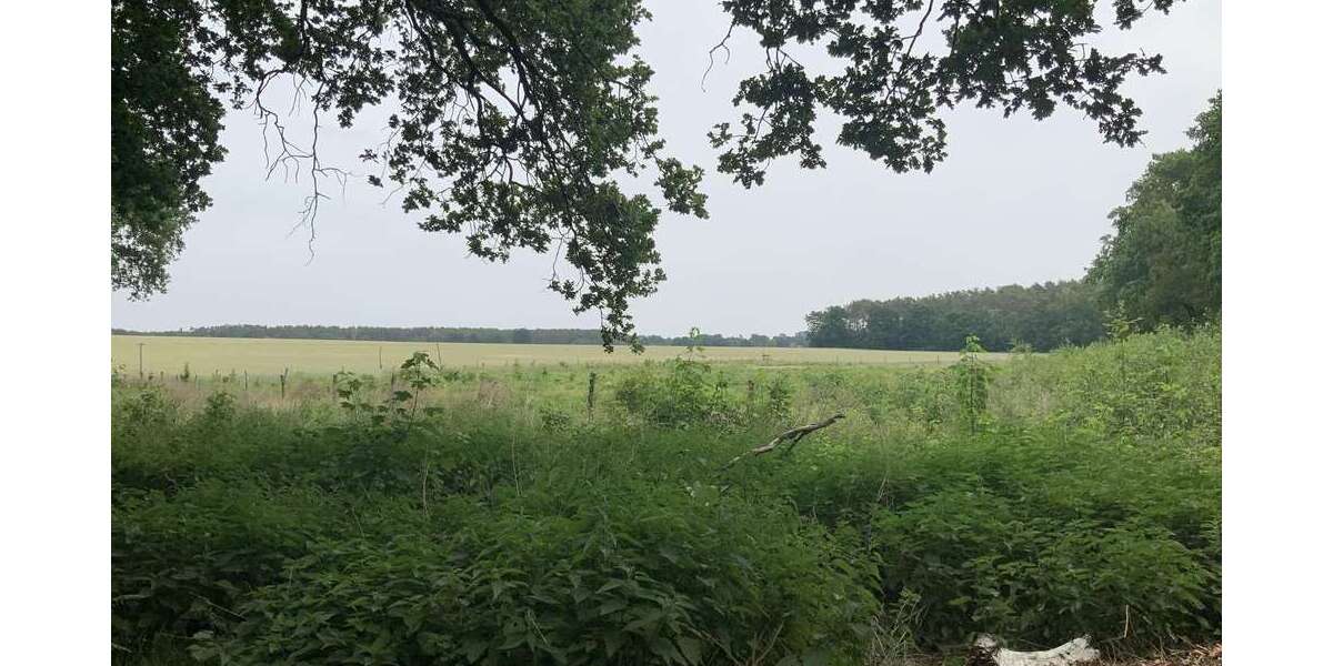 Grundstück Schulzendorf - 170.000&euro; | Angebot:24790257