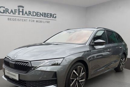 Skoda Octavia 8.000 km 41.890 &euro; Offenburg 77652
