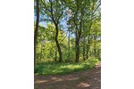 Waldflächen nahe Gifhorn - Kein Bauland