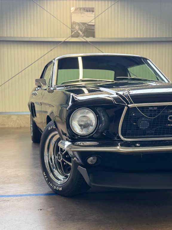Mustang