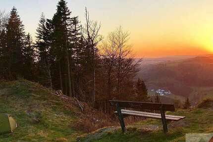 Grundstück Winterberg / Elkeringhausen Elkeringhausen - 80.000&euro; | Angebot:25190893