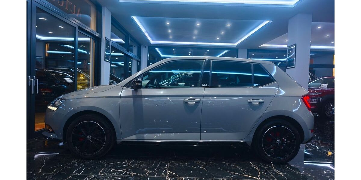 Skoda Fabia 145.692 km 9.700 &euro; Denkingen 78588