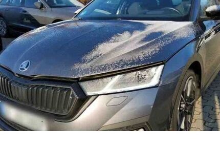 Skoda Octavia 110.374 km 27.400 &euro; Wolfsburg 38440