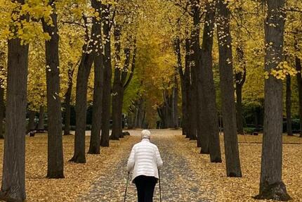 ✅ Wohnung f. hilfsbereite Mitbewohnerin respektvolles Miteinander 2 zimmer