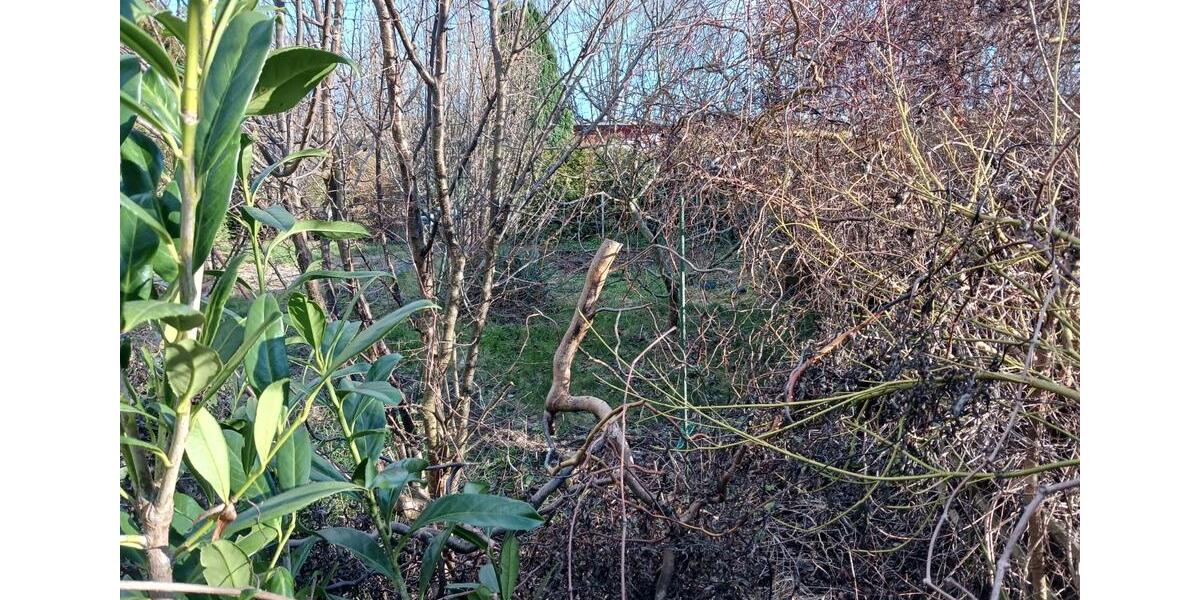 Grundstück Staßfurt Löderburg - 26.000&euro; | Angebot:20613843