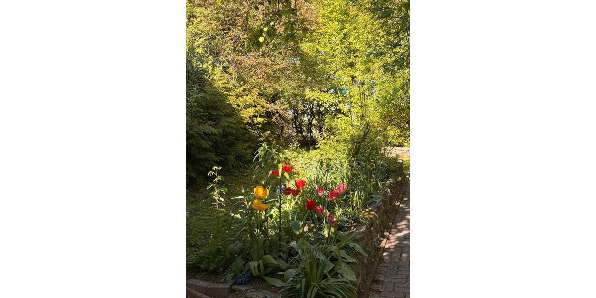 Einfamilienhaus Schöningen - 5 Zimmer, 117 m&sup2;, 219.000&euro; | Angebot:26606034