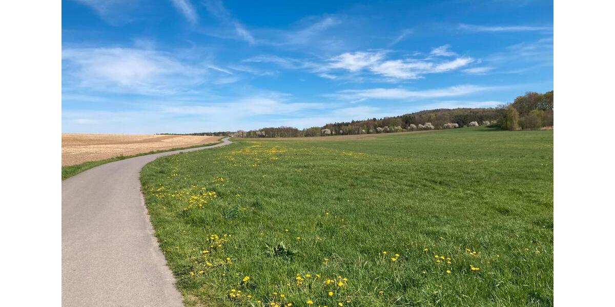 4-Raum-Wohnung mit großem Balkon 4 zimmer