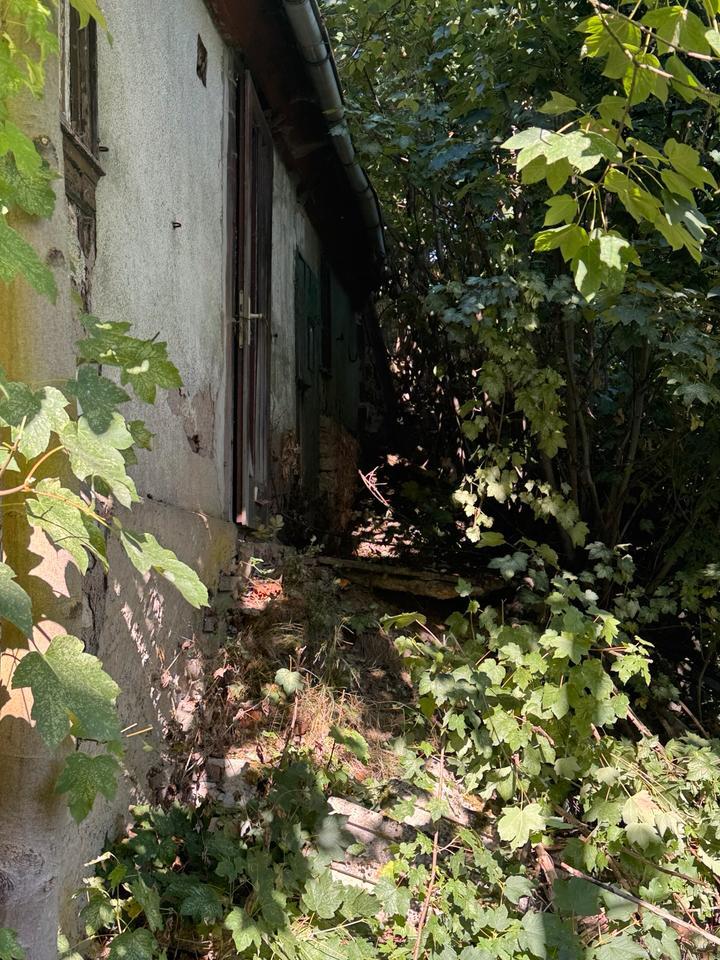 Haus mit Grundstück im Südharz 06536
