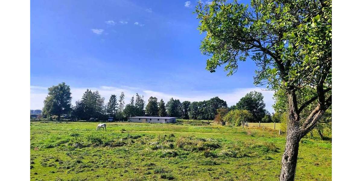 Grundstück Neukalen - 229.000&euro; | Angebot:23505774