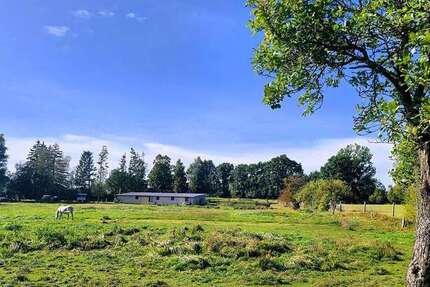 Grundstück zu verkaufen in Neukalen 229.000 € 14715 m² zimmer