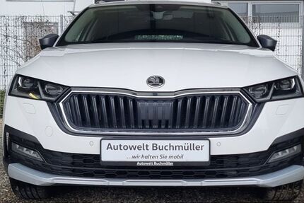 Skoda Octavia 176.963 km 22.490 &euro; Nersingen 89278