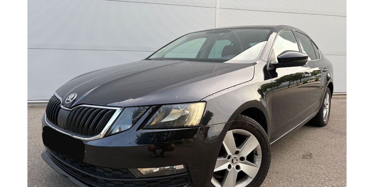 Skoda Octavia 278.070 km 8.500 &euro; Schutterwald 77746