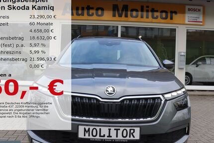Skoda Kamiq 3.500 km 23.290 &euro; Eslohe 59889