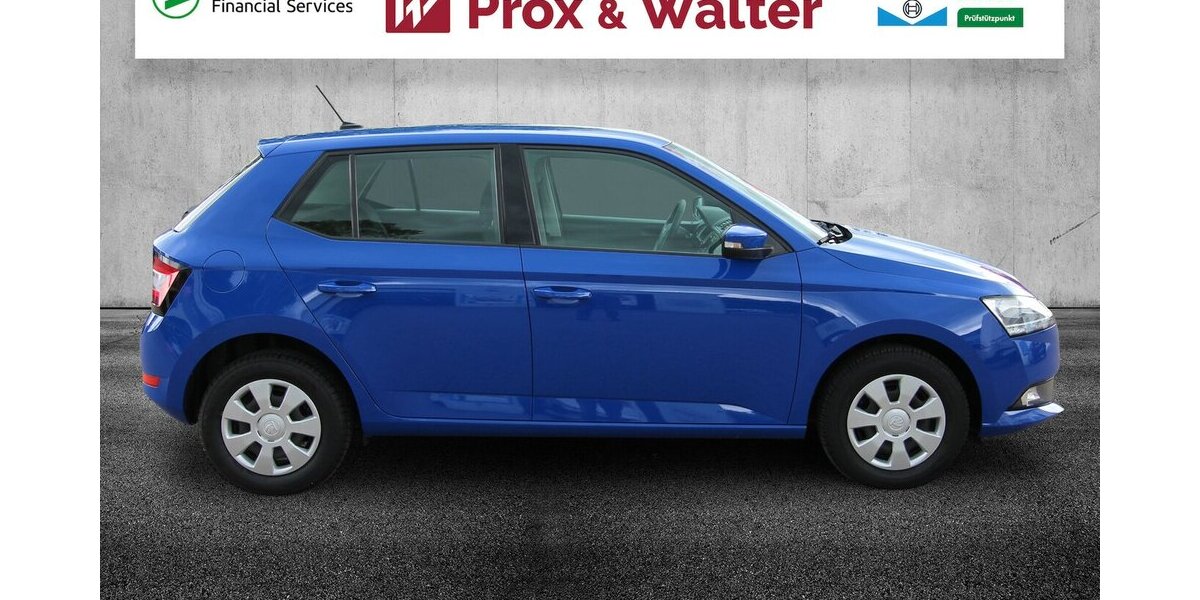 Skoda Fabia 1.0 MPI Cool Plus KLIMA+SITZHEIZUNG 130.693 km 7.900 &euro; Hagenow 19230