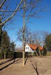 UNSCHLAGBARER PREIS FÜR IHR HAUS AM SEE
