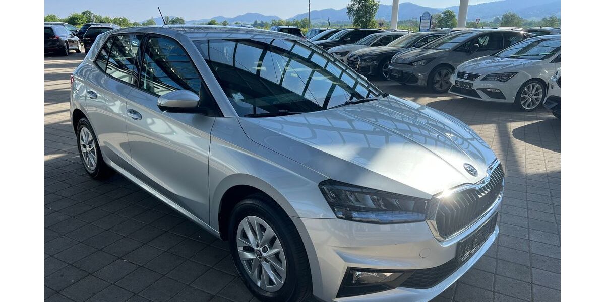 Skoda Fabia 13.851 km 15.400 &euro; Sasbach 77880