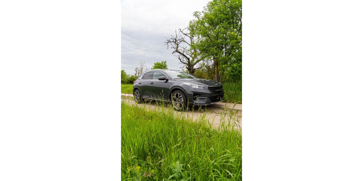 Kia XCeed 56.075 km 21.990 &euro; Schönebeck 39218