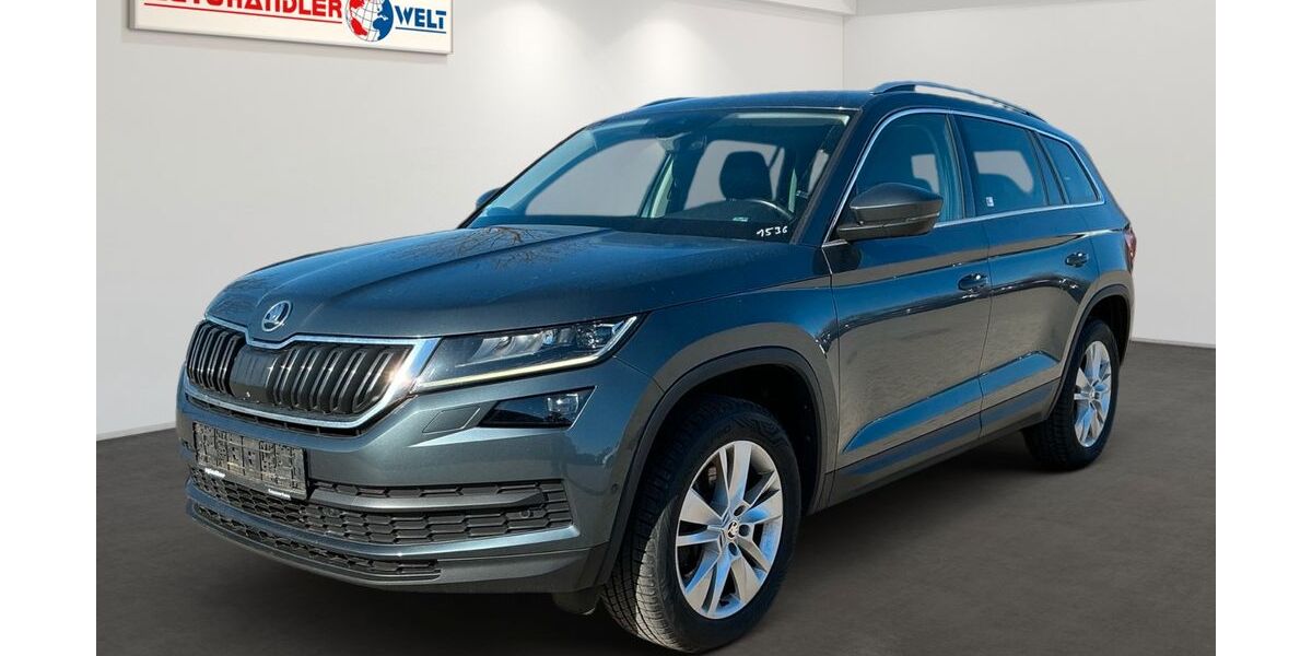 Skoda Kodiaq 182.932 km 18.499 &euro; Brehna 06796