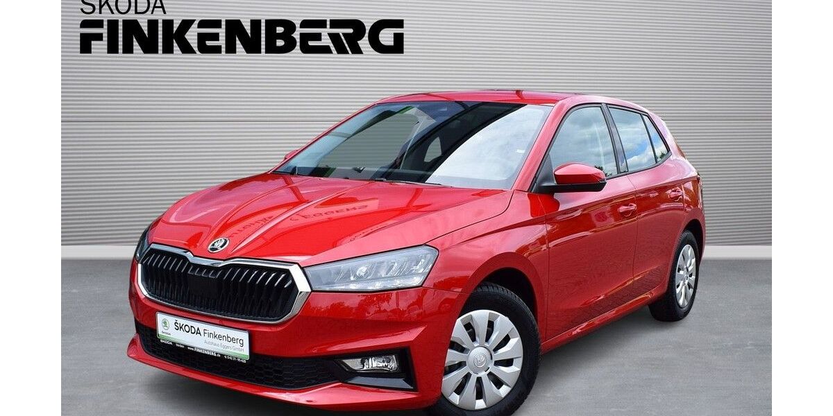 Skoda Fabia 15.500 km 17.980 &euro; Verden 27283