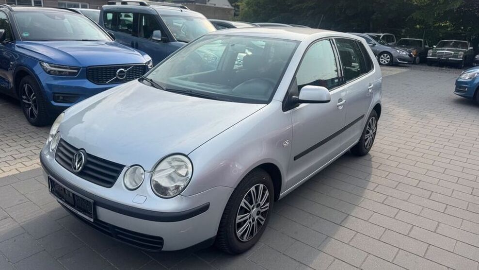 Polo