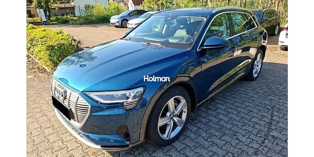 Audi e-tron 138.382 km 21.941 &euro; Eschborn 65760