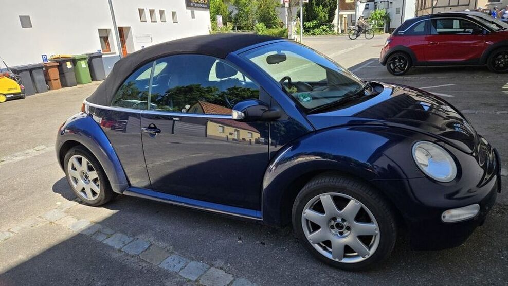 Beetle
