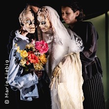 Frankenstein 04.11.2026 Staatstheater Meiningen