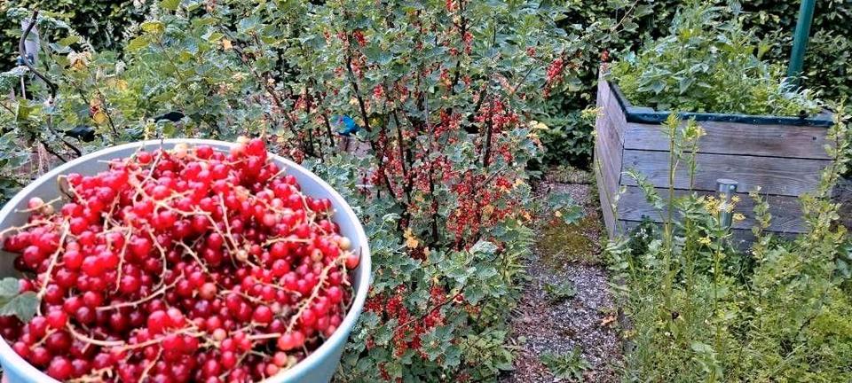 Einfamilienhaus Zeven - 8 Zimmer, 300 m&sup2;, 699.000&euro; | Angebot:25942775