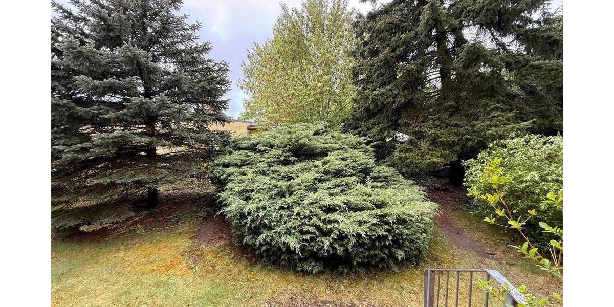 Gewerbeobjekt Berlin Rahnsdorf - 3 Zimmer, 90 m&sup2;, 1.170&euro; | Angebot:26700089
