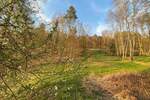 Grundstück Flossenbürg - 170.000&euro; | Angebot:26036735