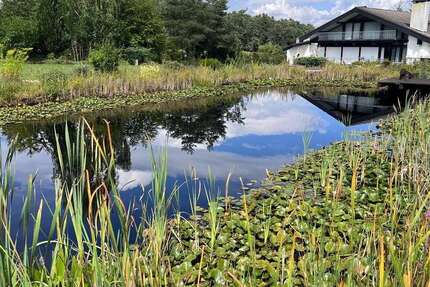 Haus Kleinseebach Kleinseebach - 10 Zimmer, 591 m&sup2;, 450.000&euro; | Angebot:26217019