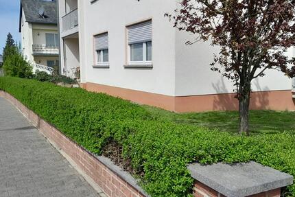 Erdgeschosswohnung in Sohren 4 zimmer