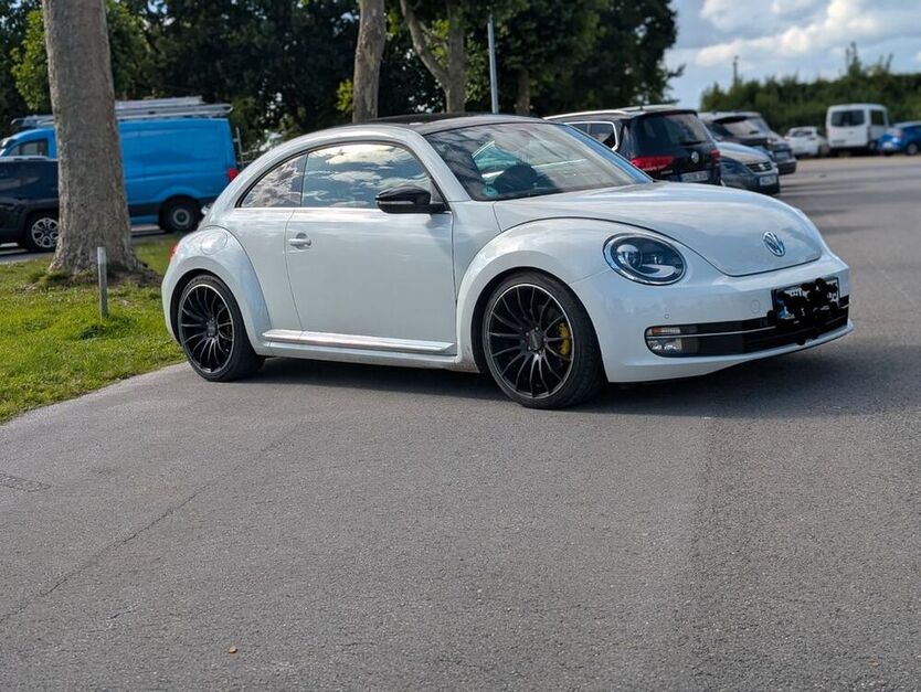 Beetle