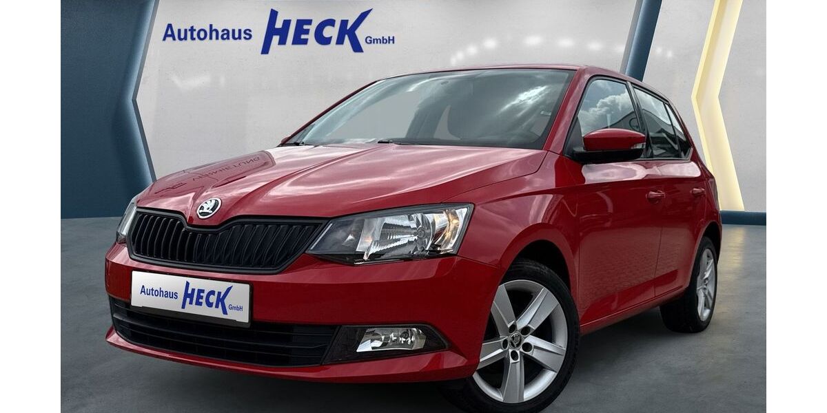Skoda Fabia 88.774 km 7.900 € Dörth 56281
