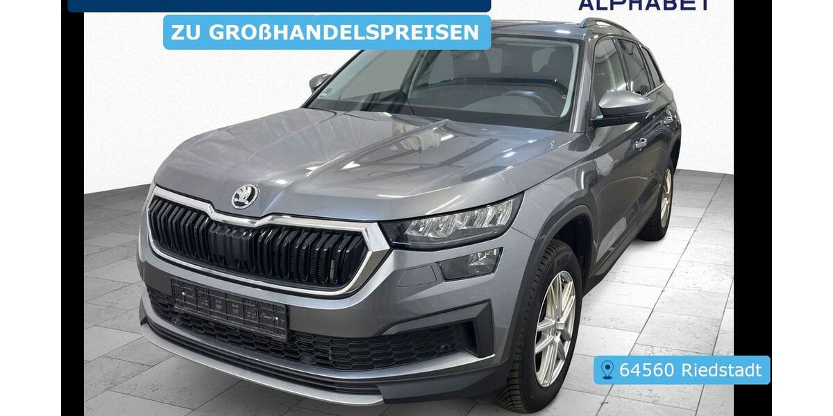 Skoda Kodiaq 80.254 km 25.890 &euro; Frankfurt 60596
