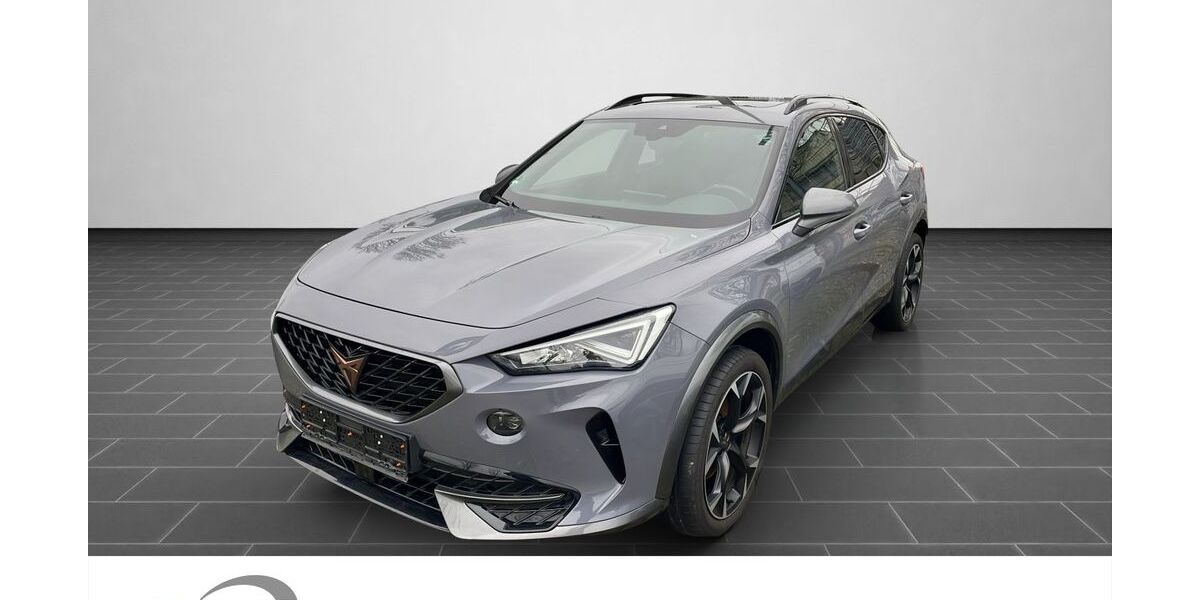 Cupra Formentor 39.812 km 29.900 &euro; Ladenburg 68526