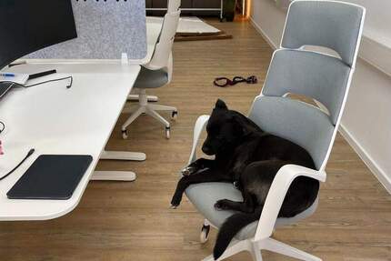 Gewerbeobjekt Garching bei München Hochbrück - 200&euro; | Angebot:25427764