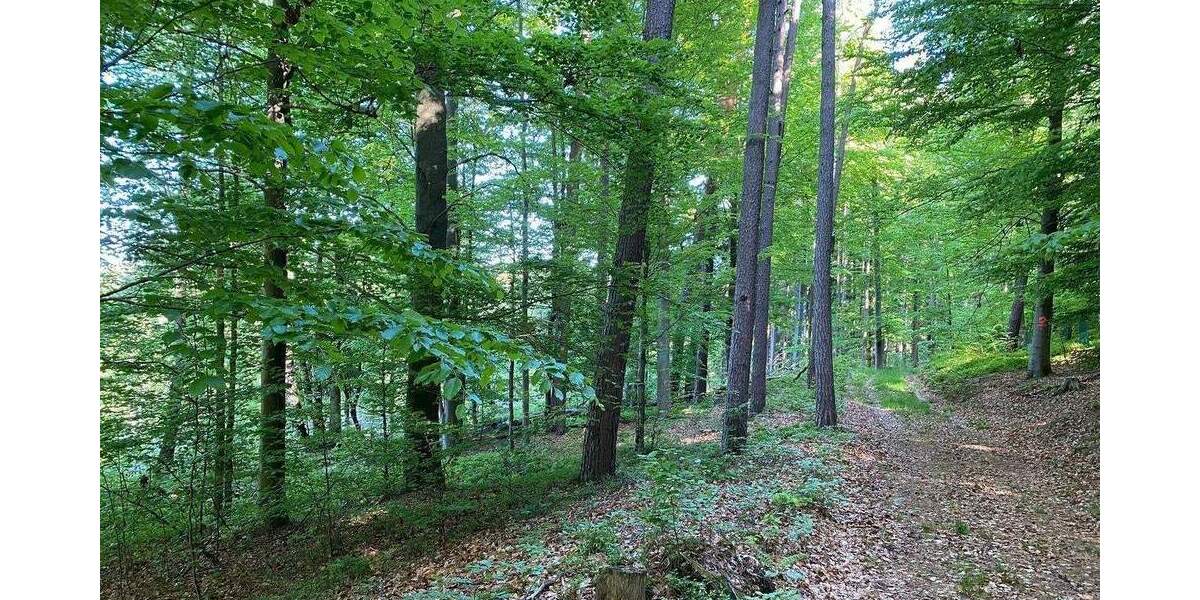 Grundstück Flossenbürg - 170.000&euro; | Angebot:26036735